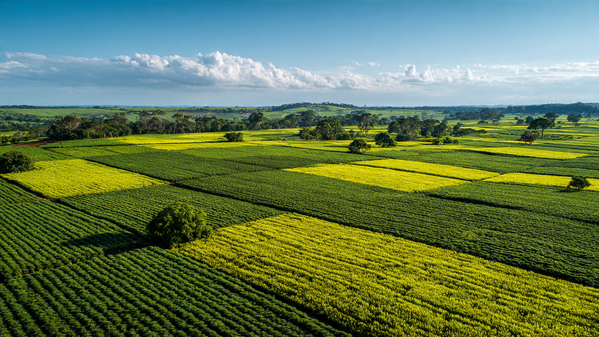 A Era da Agricultura de Precisão e a Busca pela Eficiência (2000-2010)